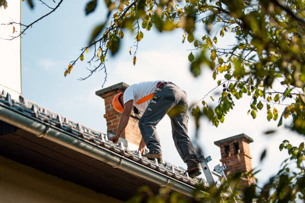 Best Storm Damage Roof Repair  in Pine Knot, KY