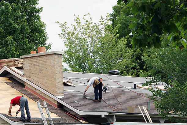 Best Storm Damage Roof Repair  in Pine Knot, KY
